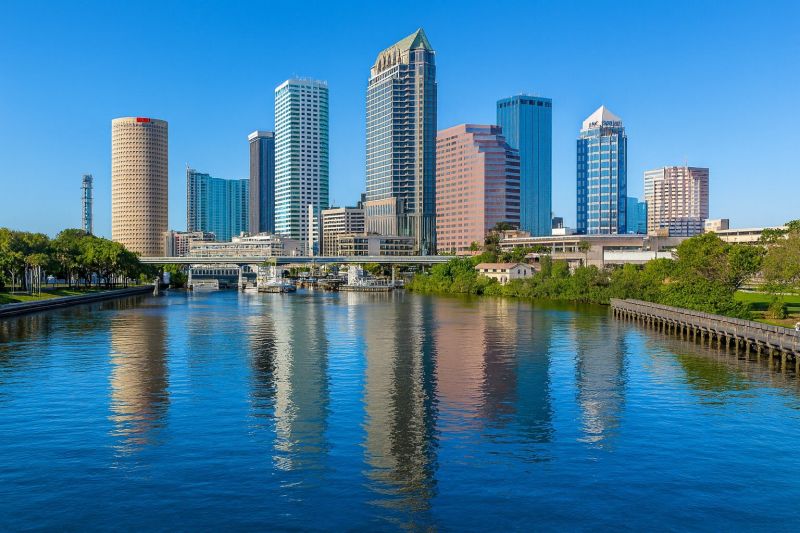 Local Shrub Trimming pros at work