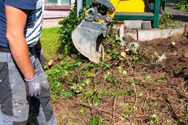 Hedge Removal Service in Lima
