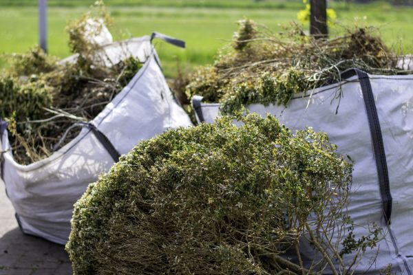 Shrubs Removal in Lima