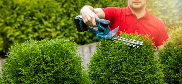 Cost of Hedge Shaping Service in Lima