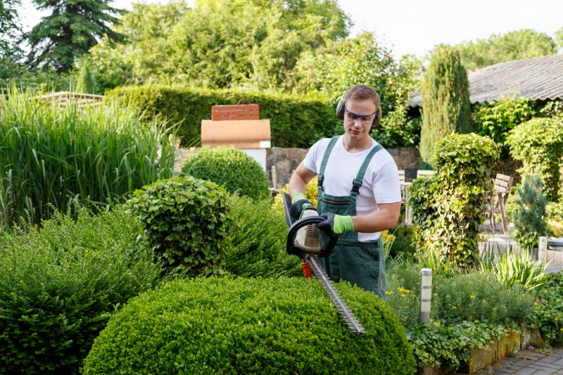Professional Shrub Trimming Team