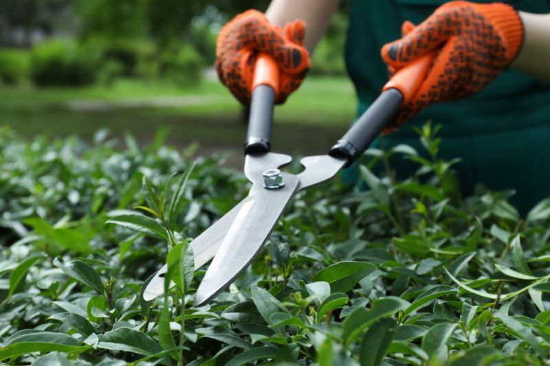Garden Care Tools